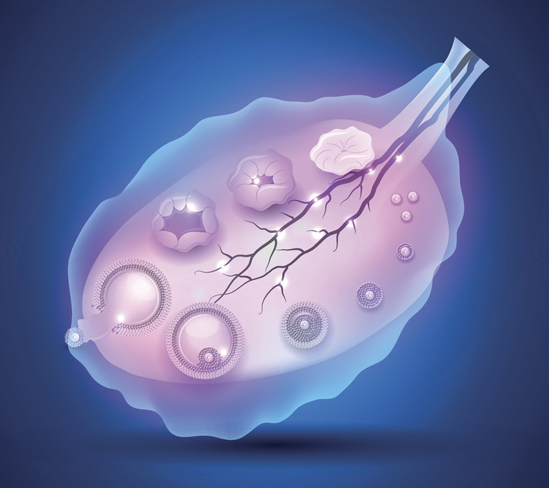 昆明三代试管婴儿医院哪家强？附2026年本地前三医院详细对比与费用解析